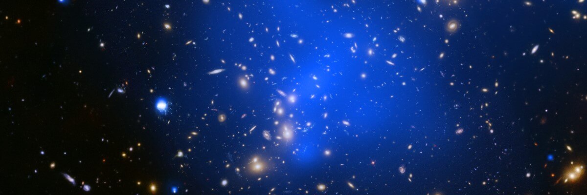 Transit Connect Community